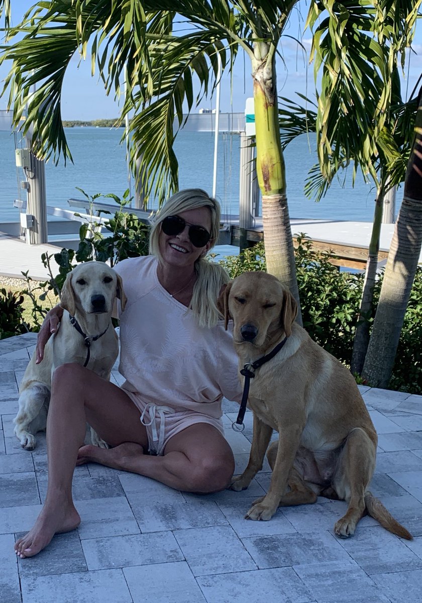 SherryPollex's tweet photo. It’s #NationalPuppyDay...so this was my best attempt at a pic with the pups when all they really wanted to do was eat dinner 😂❤️ (also obsessed with this palm lounge set from @lavendarbtq). 🌴 https://t.co/StautFDab1. https://t.co/QUyO4UklQz