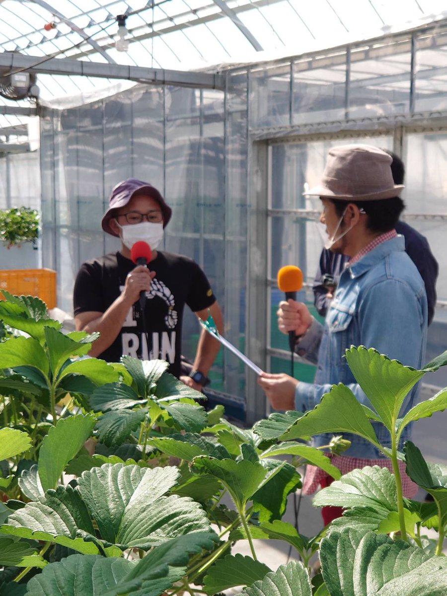 fm_toyota786's tweet photo. #農ラブィート！！！
今回は、舞木町でイチゴの栽培を手がけている永田さんのビニールハウスにお邪魔しました！
イチゴの栽培についてや、今後の目標など、盛りだくさんの内容となっていますので、ぜひ聴いてください！月〜金6:55〜、17:55〜、総集編が土8:30〜、日11:00〜
#fmt786 #TUT1026 #イチゴ https://t.co/mRpB7n4bTs