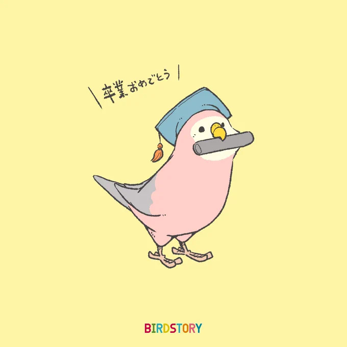 おはようございます。
本日は3月24日、この頃に卒業式が行われる学校が多いことから、恩師の日とのことです?
卒業おめでとうございます✨
#BIRDSTORY 
#卒業 #アキクサインコ 