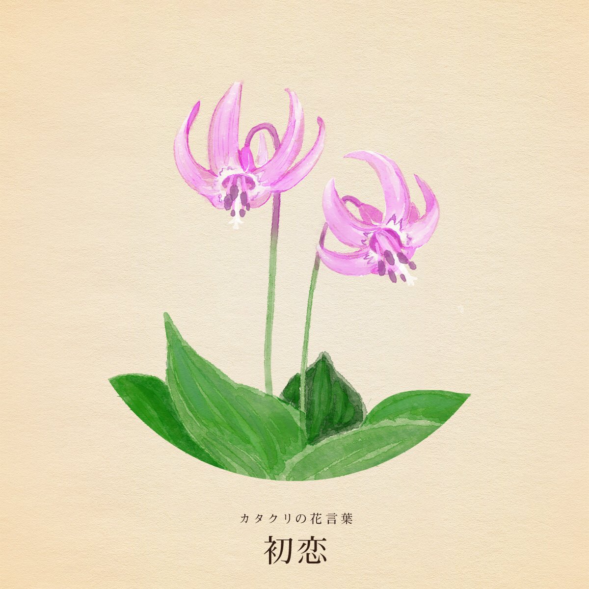 はな言葉 葉菜桜花子さんのツイート きょう3月24日は 世界結核デー マネキン記念日 壇ノ浦の戦いの日 未来を強くする日 連子鯛の日 恩師の日 仰げば尊しの日 人力車発祥の日 日本橋人力車の日 ホスピタリティ デー おもてなしの日 誕生花はカタクリ 花言葉は 初恋 はな言葉 葉菜桜花子さんのツイート きょう3月24日は 世界結核デー マネキン記念日 壇ノ浦の戦いの日 未来を強くする日 連子鯛の日 恩師の日 仰げば尊しの日 人力車発祥の日 日本橋人力車の日 ホスピタリティ デー おもてなしの日 誕生花はカタクリ 花言葉は 初恋