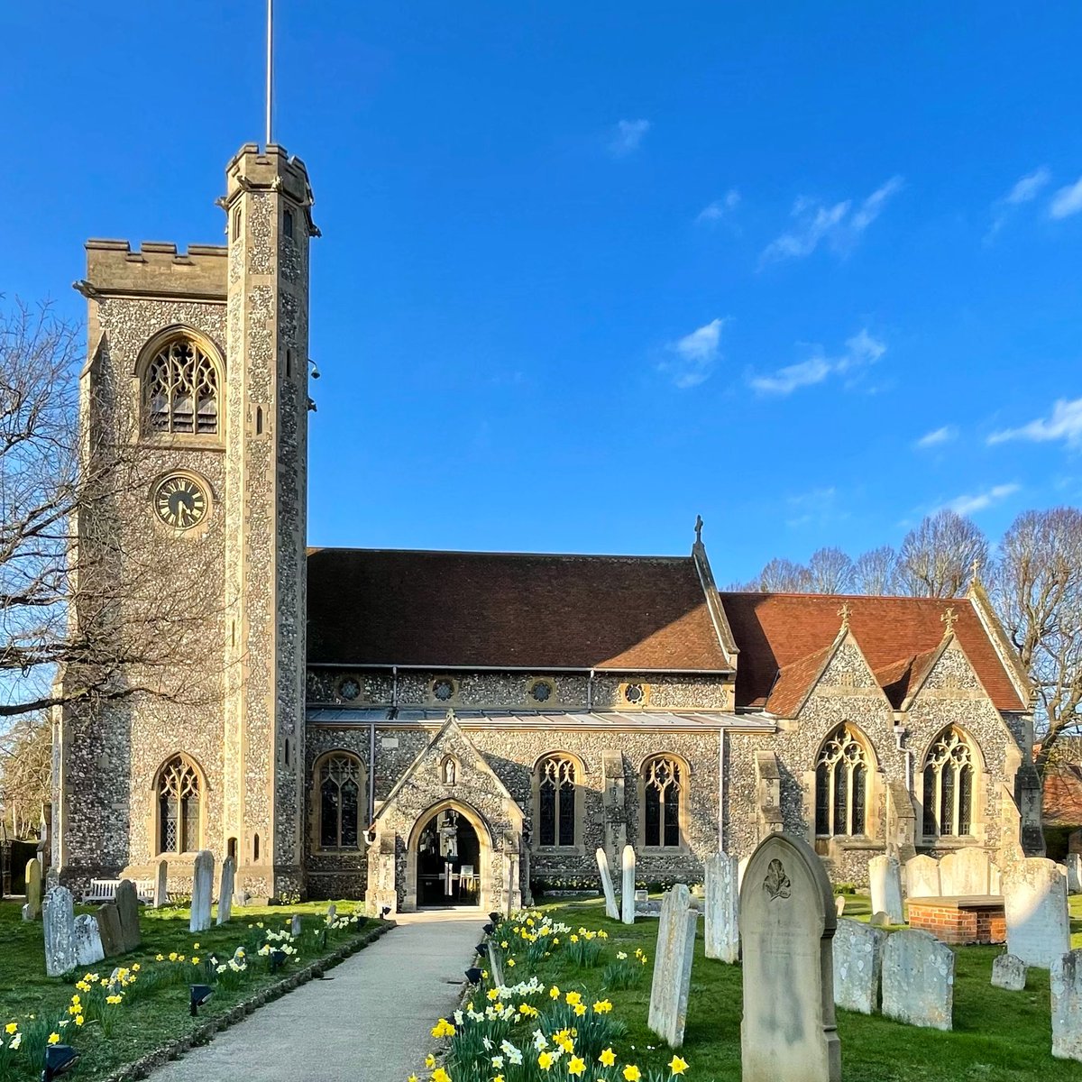 nikkilewisphoto's tweet photo. Love seeing the daffodils lining the Church path.
#stmarys #stmaryschurch #welwyn #church #bluesky #blueskies #sunny #spring #springday #sunnyspringday #nikkilewisphotography #nikkilewisphotos #hertfordshire #hertslife #herts #lockdown #life #pandemic #hertfordshirephotographer https://t.co/w1pKJSu7PG