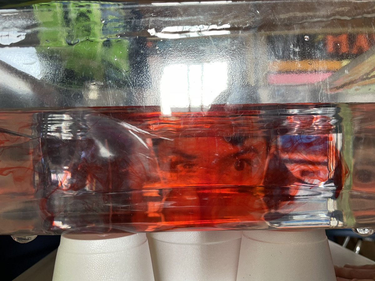 STEM_MrsGropper's tweet photo. Today we used warm water (red food coloring) and cold water (blue food coloring) to help figure out how winds move! We saw that warm water rises and cold water sinks because it’s more dense! Just like our winds! #5thgrade #LBLeads @WestSchoolLBNY https://t.co/Gw8EadYrt7