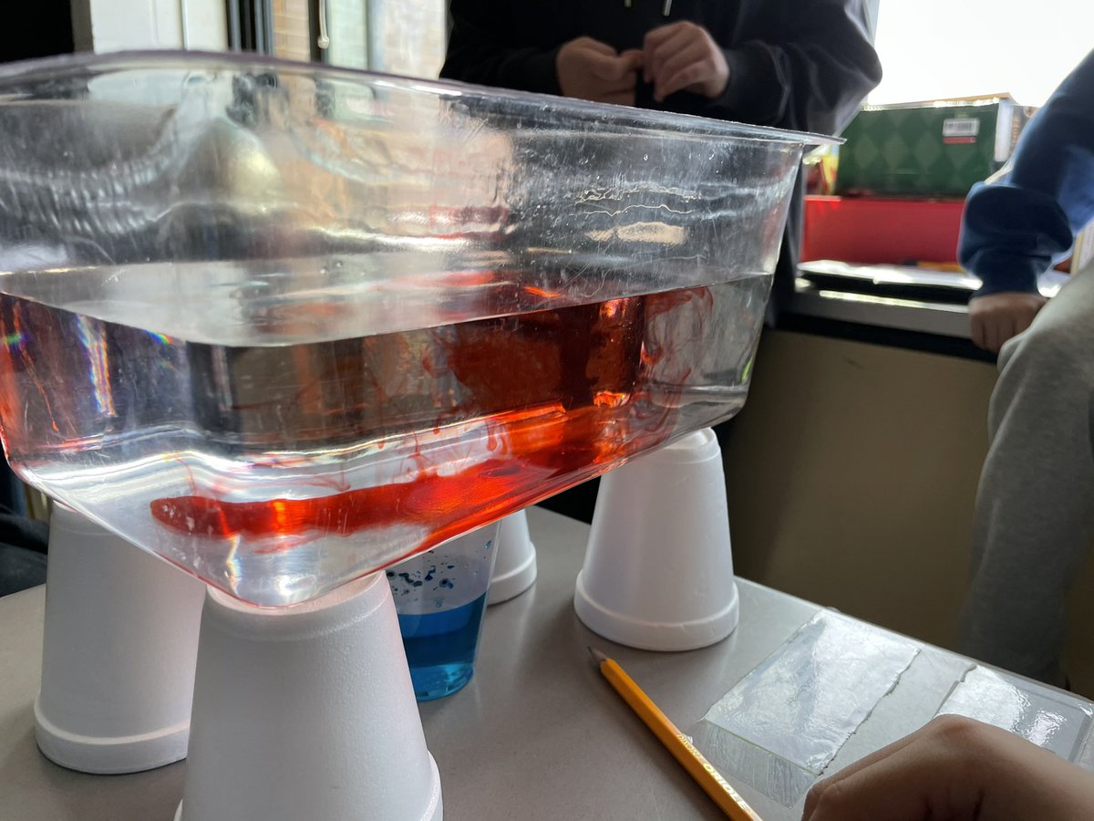 STEM_MrsGropper's tweet photo. Today we used warm water (red food coloring) and cold water (blue food coloring) to help figure out how winds move! We saw that warm water rises and cold water sinks because it’s more dense! Just like our winds! #5thgrade #LBLeads @WestSchoolLBNY https://t.co/Gw8EadYrt7