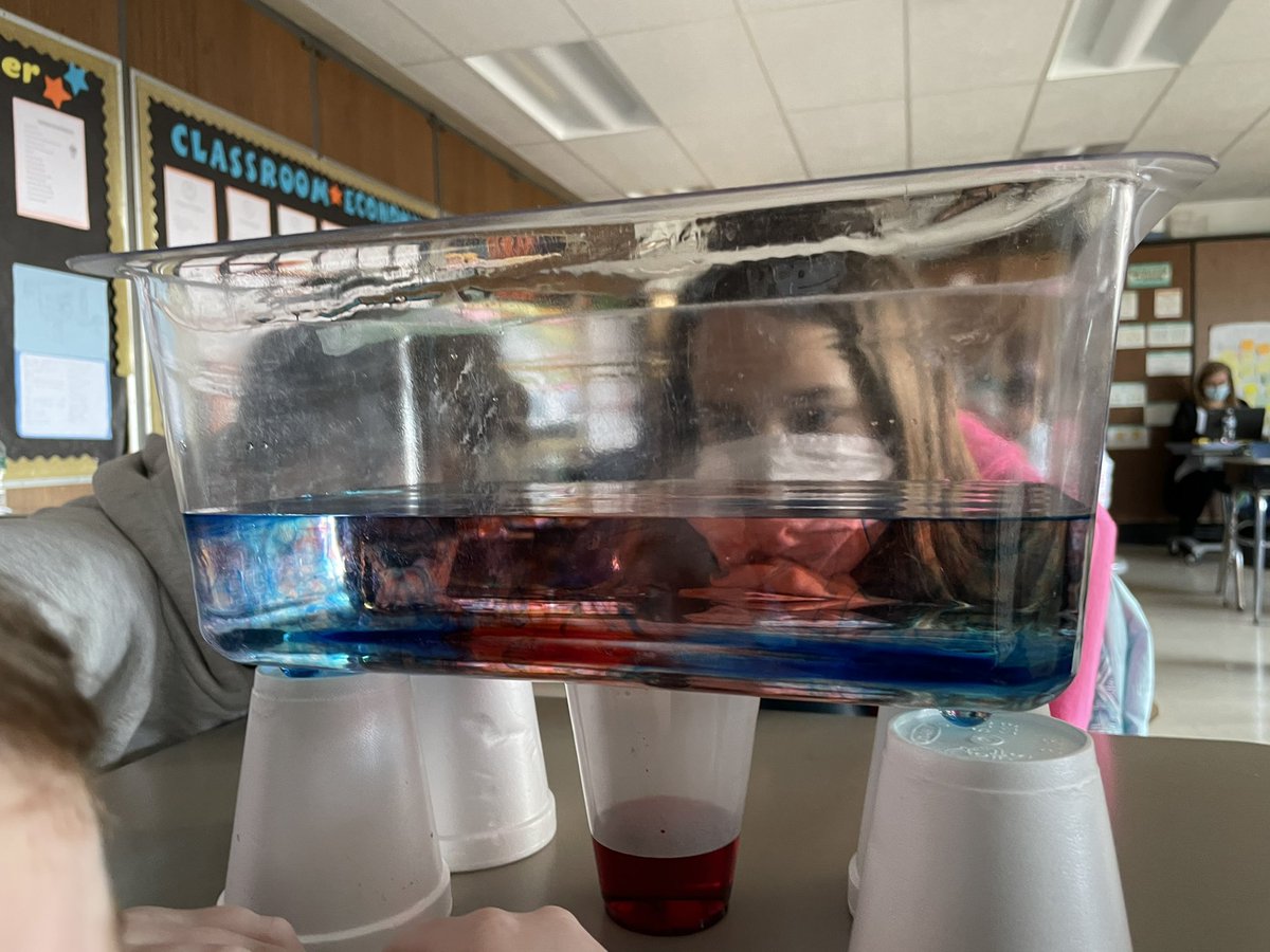 STEM_MrsGropper's tweet photo. Today we used warm water (red food coloring) and cold water (blue food coloring) to help figure out how winds move! We saw that warm water rises and cold water sinks because it’s more dense! Just like our winds! #5thgrade #LBLeads @WestSchoolLBNY https://t.co/Gw8EadYrt7