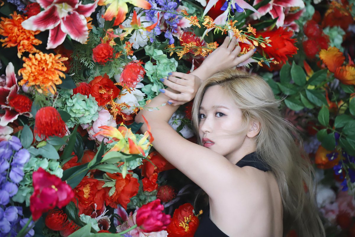 angel_tabris_'s tweet photo. Happy Birthday🎉

#HappyMinaDay
#onceと繋がりたい #TWICE #트와이스 #미나 #Mina #ミナ https://t.co/lg0ANO5qUS