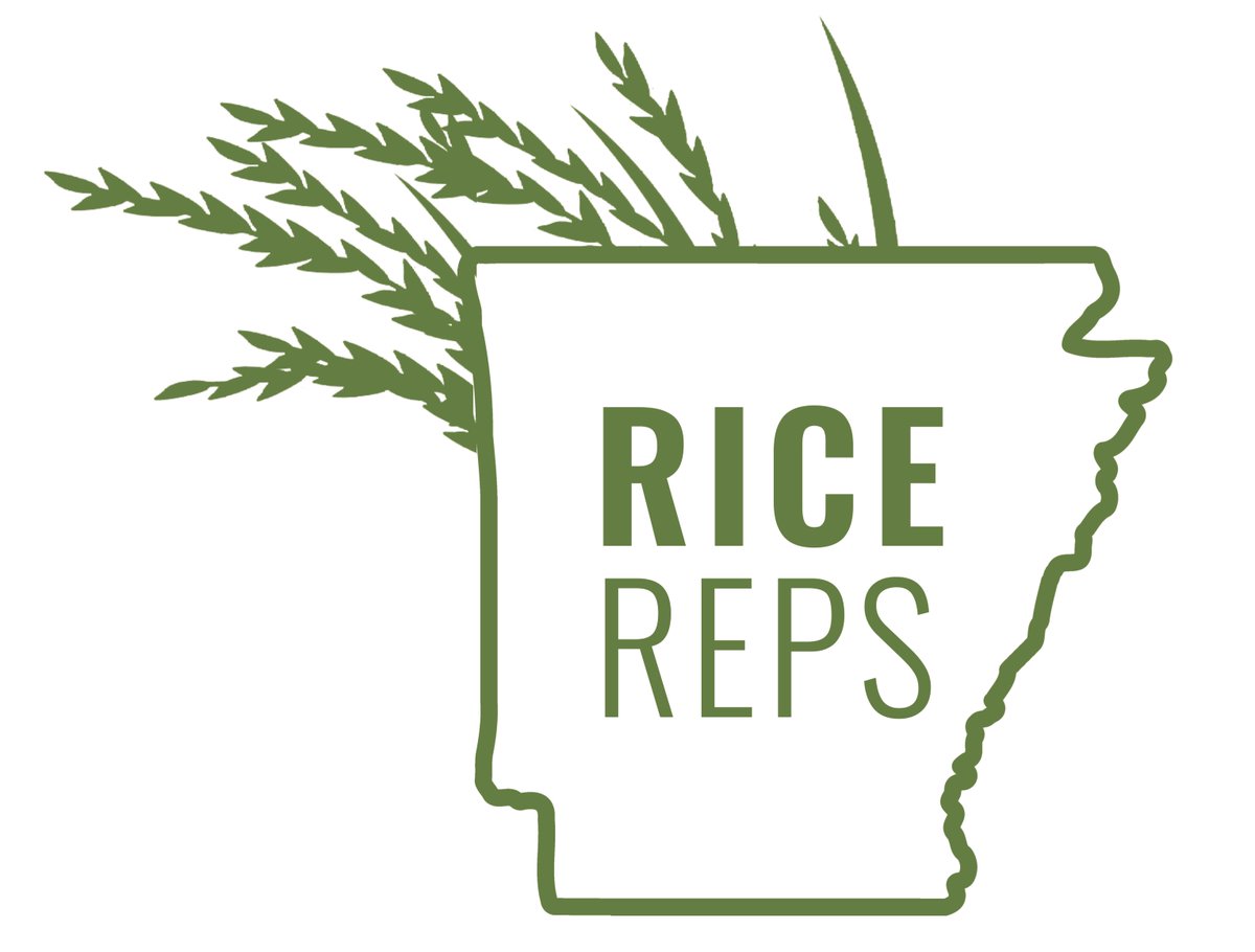 Arkansas Rice tweet media