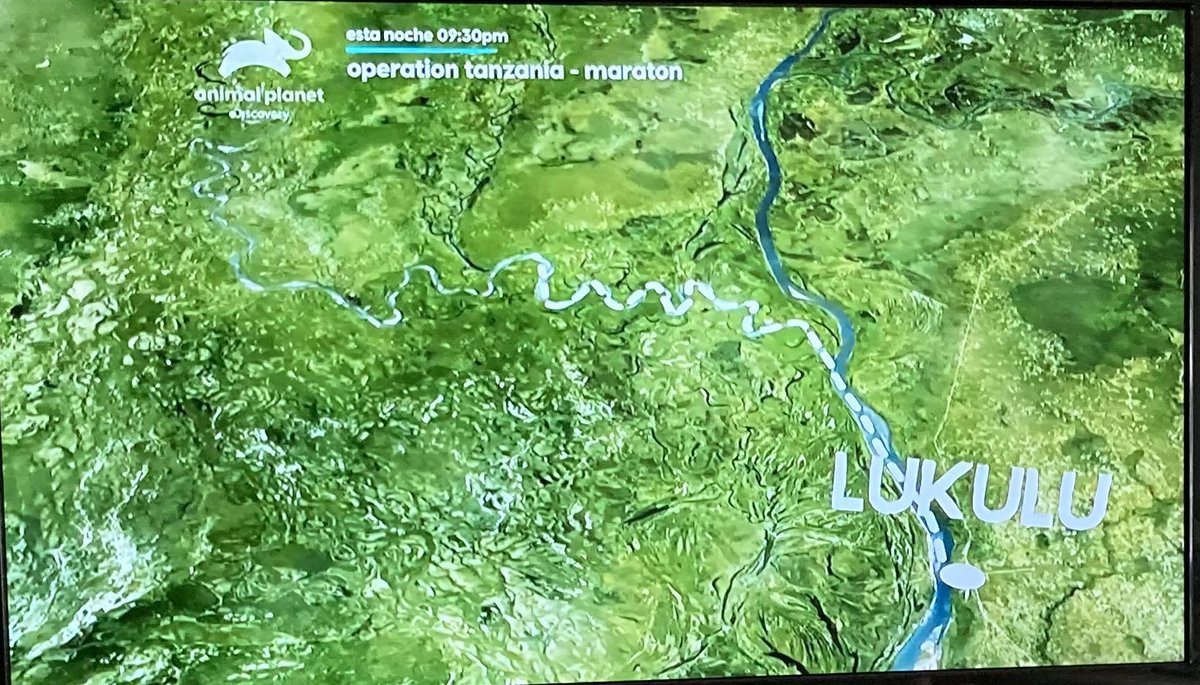 WALTER JIMENEZ "EL LORITO" tweet media