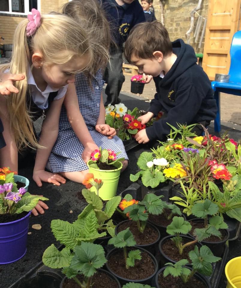 AcademyWsm's tweet photo. 🌞🌸A massive THANK YOU to Miletree Plants, Shrubs and Trees for their very kind donation of plants, compost and pots! Hudson class really enjoyed planting the flowers in our outdoor area this afternoon &amp; learning about what plants need to help them to grow &amp; survive.🌸🔆 https://t.co/bykjvSk359