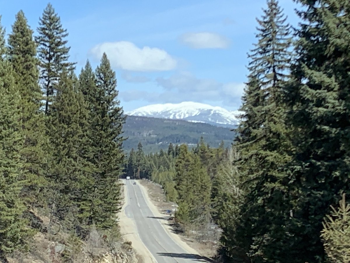 slimschadey161's tweet photo. Hey ⁦@BigWhite⁩ your looking rather nice from this angle !! #highway33#beaverdell#bluebird https://t.co/AQvVcI3OpI
