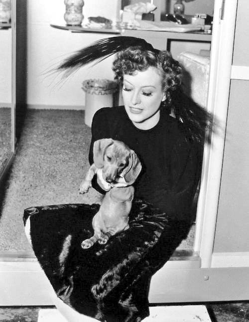 DamesandDogs's tweet photo. #JoanCrawford with her Dachshund on the set of 'The Women' c. 1939 https://t.co/9rcvOeqvZG