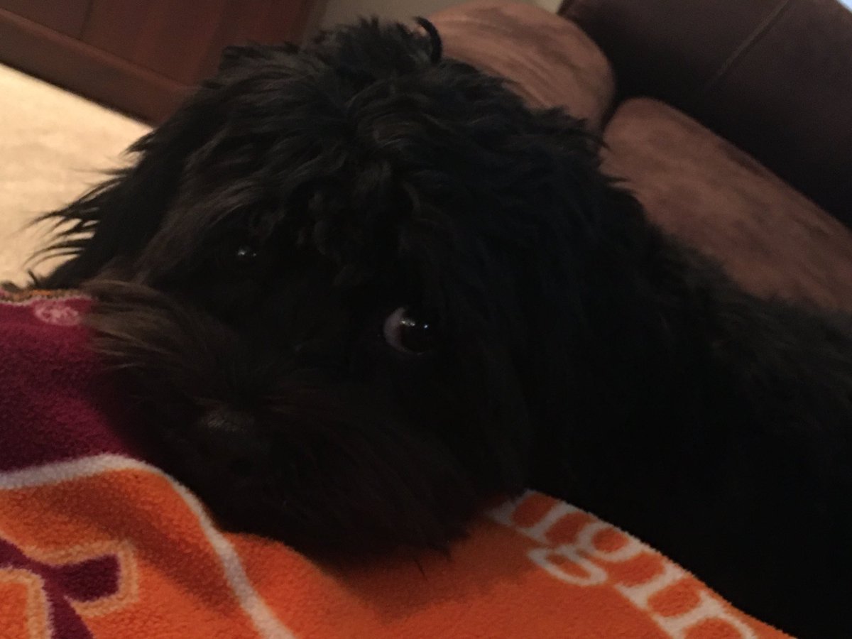 Beth Litz tweet media