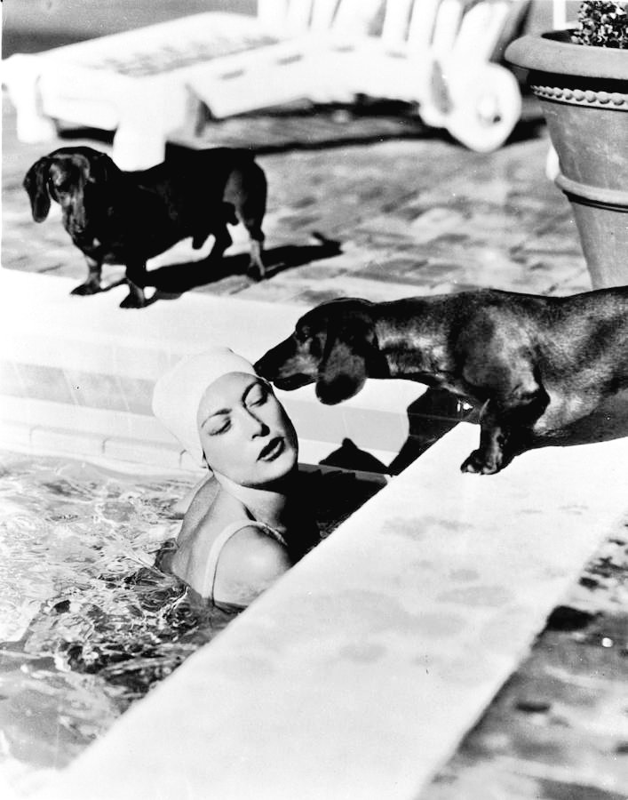 DamesandDogs's tweet photo. Joanie + her Dachshunds
#JoanCrawford https://t.co/s7YZUzHOAp