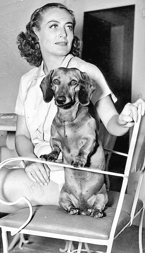DamesandDogs's tweet photo. Joanie + her Dachshunds
#JoanCrawford https://t.co/s7YZUzHOAp
