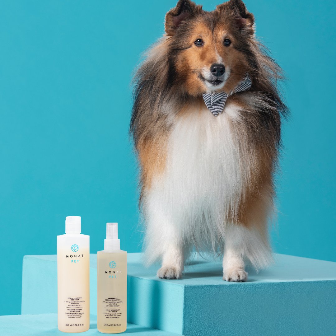 MONAT on Twitter "Don't miss out on this Pawfect sale to get our Fur