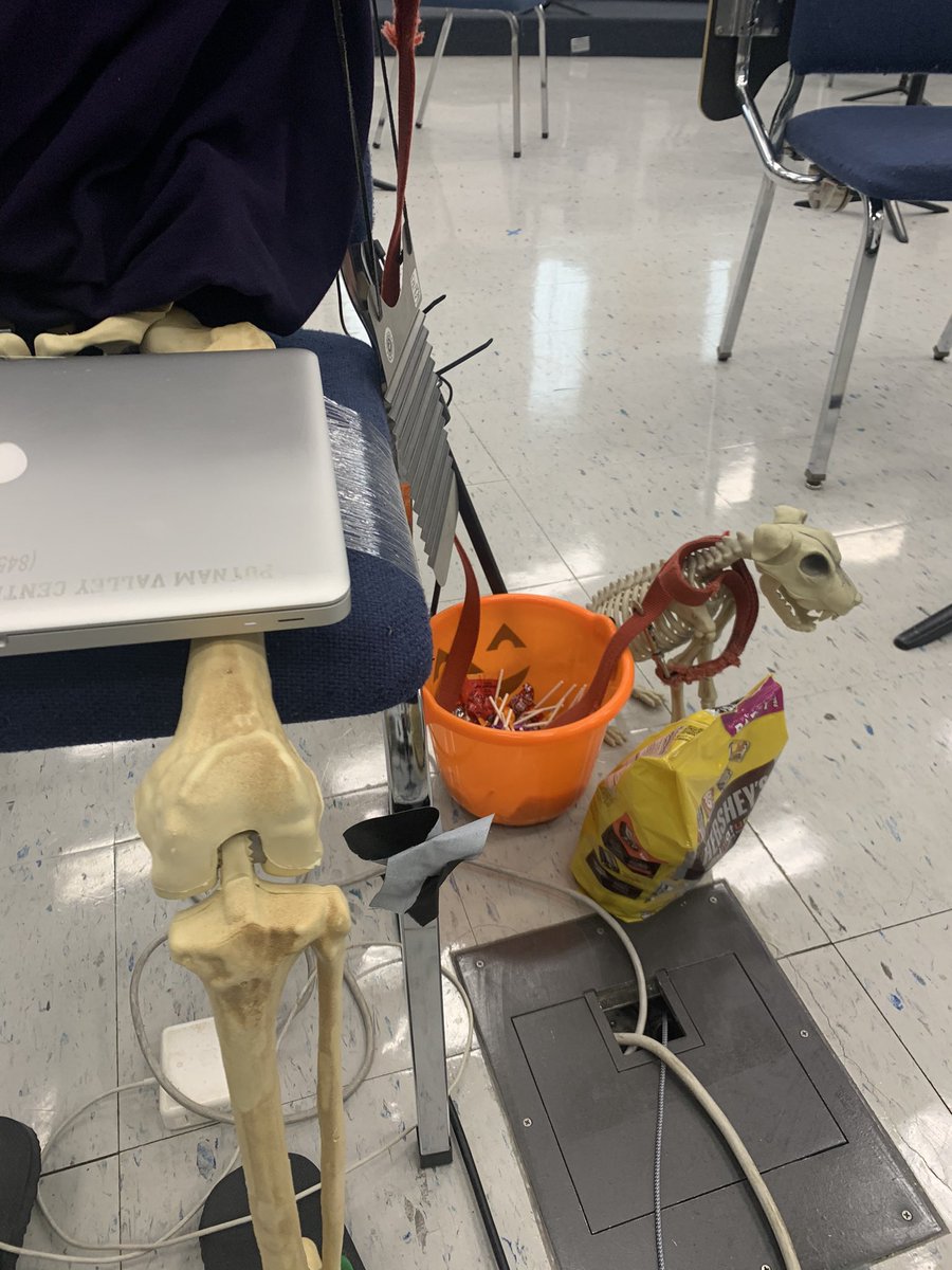 PVMusicDept's tweet photo. Have you met Bob? Bob lives in the PVHS band room and loves to help out with remote learning! #pvrising #nymiosm21 https://t.co/PJeTt3mbX7