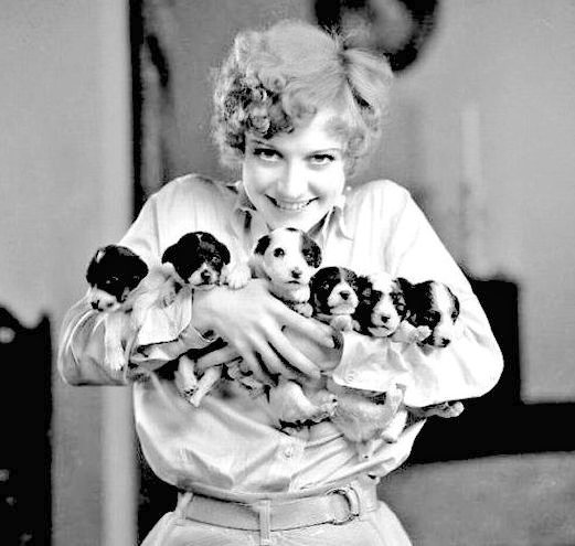 DamesandDogs's tweet photo. Joanie with an assortment of four-legged friends
#JoanCrawford https://t.co/7MxAGJBoQw