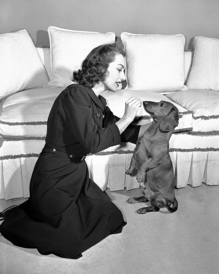 DamesandDogs's tweet photo. Joanie with an assortment of four-legged friends
#JoanCrawford https://t.co/7MxAGJBoQw