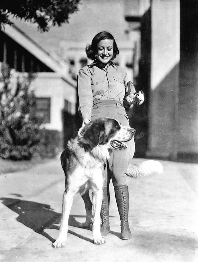 DamesandDogs's tweet photo. Joanie with an assortment of four-legged friends
#JoanCrawford https://t.co/7MxAGJBoQw