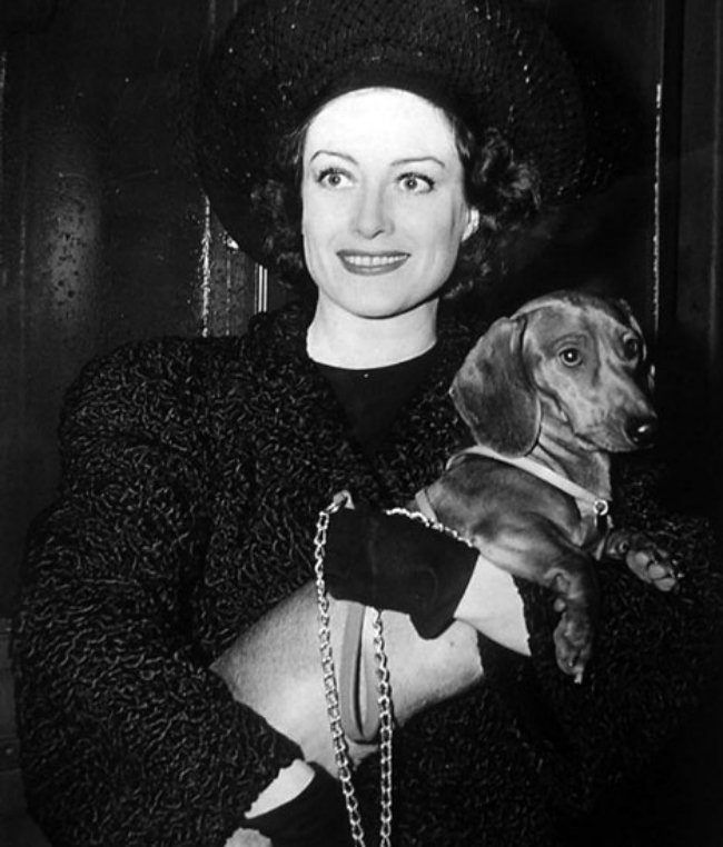 DamesandDogs's tweet photo. Joanie with an assortment of four-legged friends
#JoanCrawford https://t.co/7MxAGJBoQw