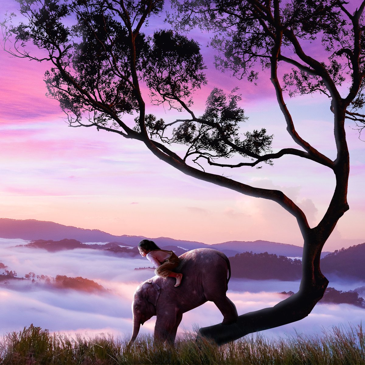 DesignMattg's tweet photo. One of my recent artworks completed. #FoundationInvite #digitalart #animals #artwork #DigitalArtist https://t.co/ugi9yt5zI3