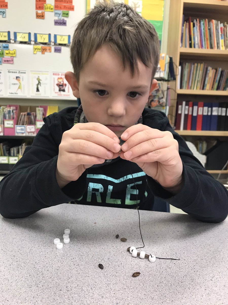 ellen_probe's tweet photo. Thank u to our Elementary Indigenous Education Teacher, Melanie Morrow, for a fun, hands-on Wolf Willow Seed presentation. My students loved making a wolf willow seed bracelet, and I had no idea that is what the inside of a silver berry looks like! @LethSchDivision @GBProbeSchool https://t.co/AtZ8aiKkj8