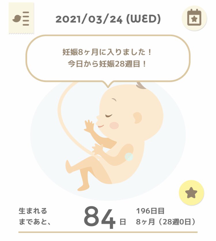 妊娠28週 妊娠28週