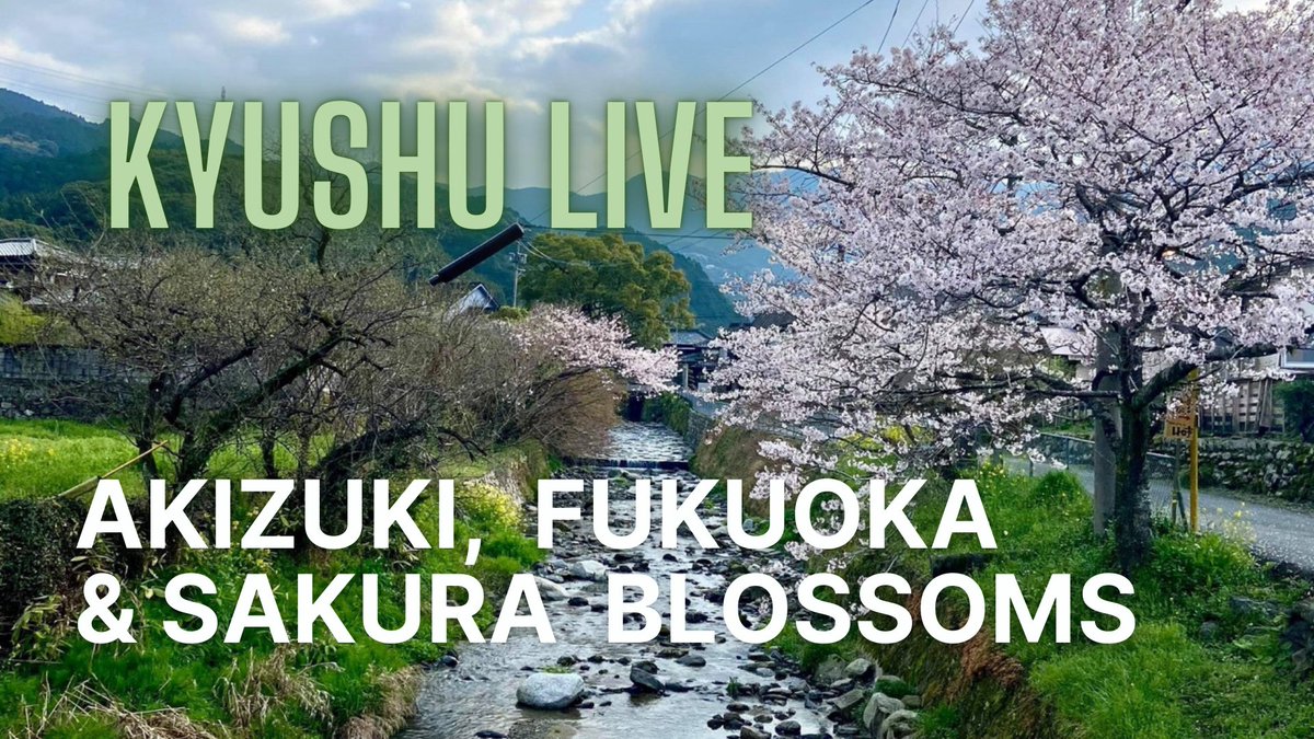 FukuokaNow's tweet photo. I’m in Akizuki now and about to explore this pretty castle town and see some cherry blossoms too! / 桜咲く城下町・秋月 Mar. 24, 08:30 am start! https://t.co/ui3kyl4mnB #sakura #akizuki #castle #japanlivestream https://t.co/dg5QmUuoZ4 https://t.co/JcohnWUpVb