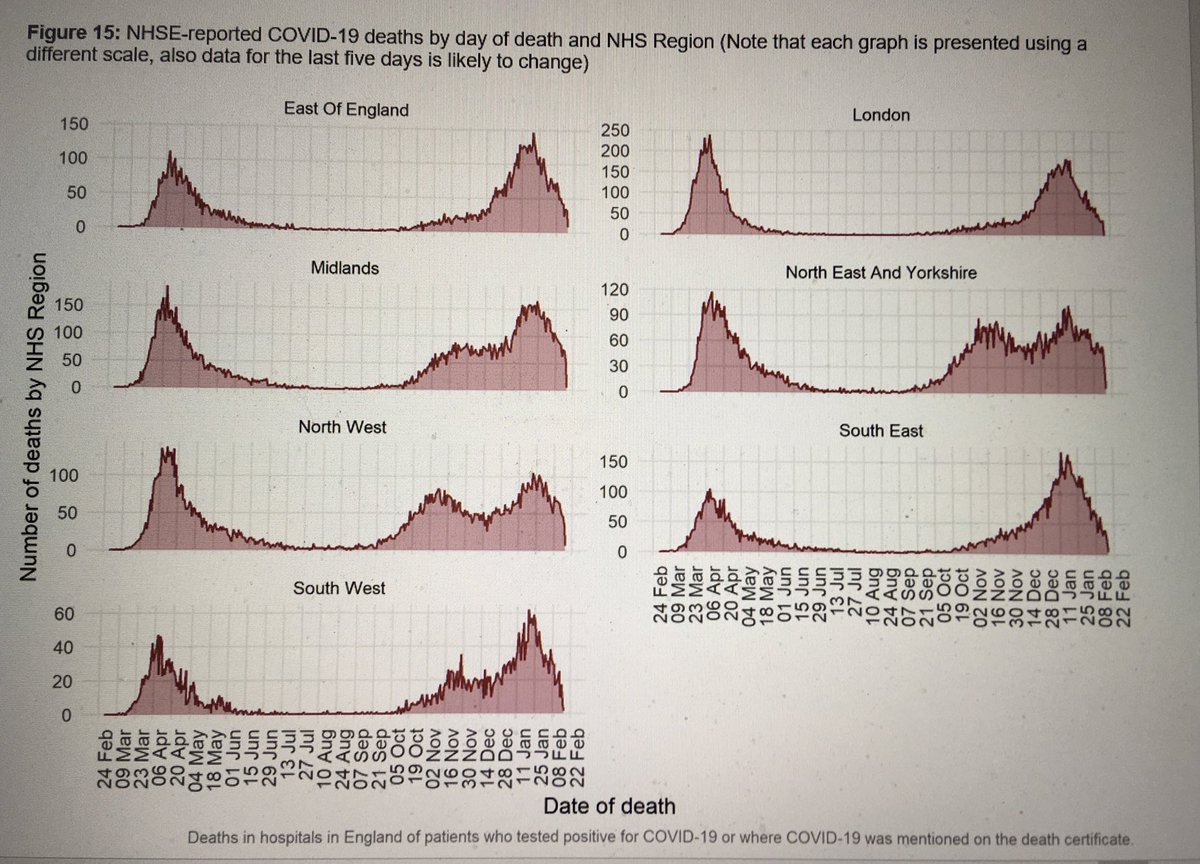 Dominic Harrison tweet media