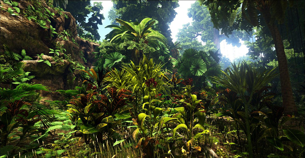 Lostisland Tropical Jungle Tropicaljungle Jungle Speedtree Playark Arksurvivalevolved Ark Plant