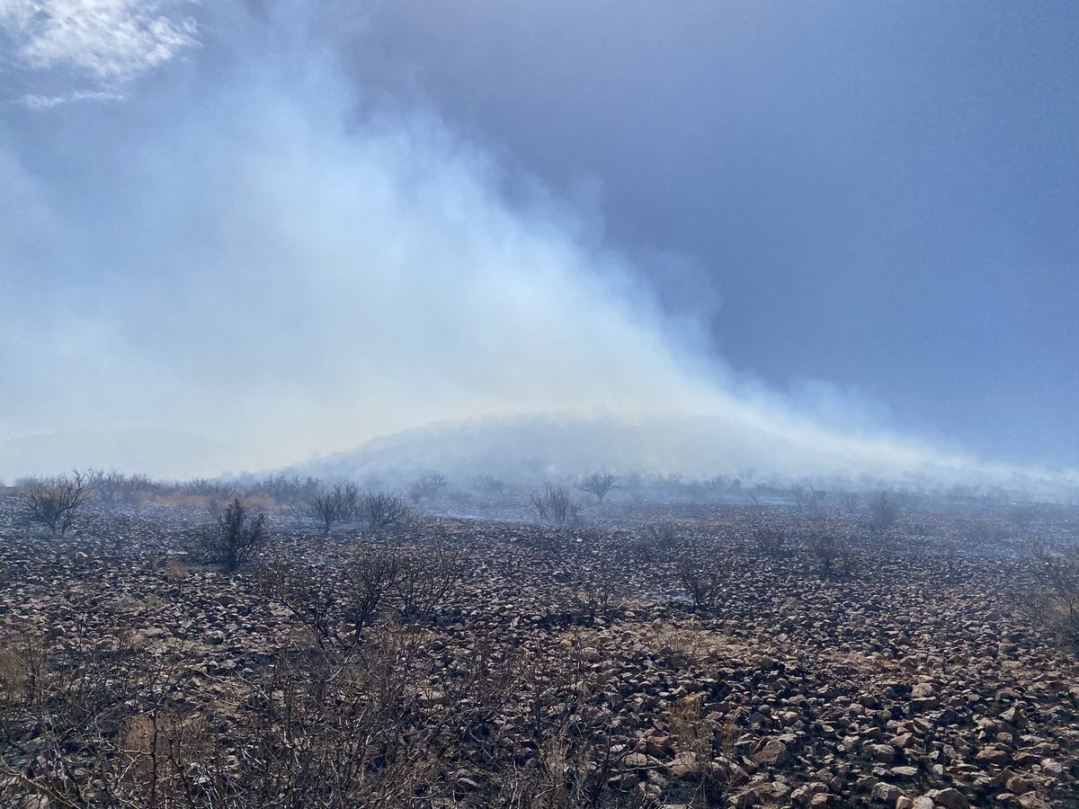 azstateforestry's tweet photo. Despite windy conditions, crews making progress getting around the #SquareTopFire near #Sunizona. Estimated 100 acres &amp; 10% contained with more containment expected by end of day. #AZFire #AZForestry #CochiseCounty https://t.co/ZRGfXT0AmW
