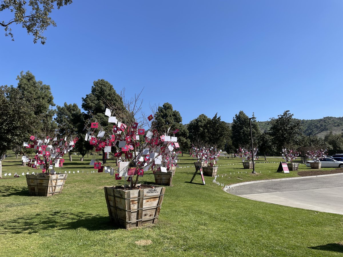 Yesterday, we set our Covid-19 Memorial to honor those lives lost to the disease. 

We encourage families, visitors &amp; community members to visit the space, write a message or memory so that others who visit can find comfort in knowing they are not alone. 
facebook.com/events/7791518…
