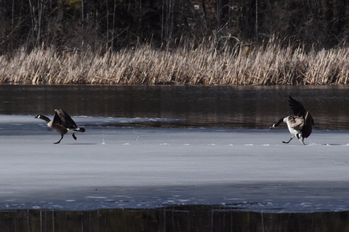 Drew Johnson tweet media