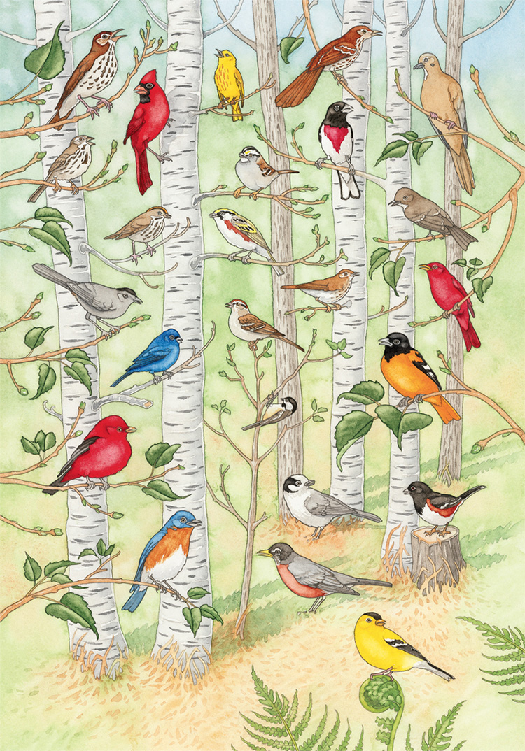 Robin_Alexa's tweet photo. #birds : a must listen. https://t.co/5aBQKUN9IP https://t.co/LN5ppQrozt