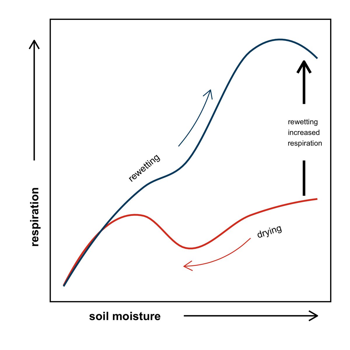 Kaizad Patel (@kaiz_p) on Twitter photo Super excited for our new paper in <a href="/SoilBiolBiochem/">Soil Biology & Biochemistry Journal</a>! Antecedent moisture conditions influence #soil carbon dynamics.
w/@VLBRod <a href="/kenton_rod/">Dr. Kenton Rod</a> <a href="/BenBondLamberty/">Ben Bond-Lamberty</a> <a href="/S_Fansler/">Sarah</a>
#SoilNotDirt Super excited for our new paper in <a href="/SoilBiolBiochem/">Soil Biology & Biochemistry Journal</a>! Antecedent moisture conditions influence #soil carbon dynamics.
w/@VLBRod <a href="/kenton_rod/">Dr. Kenton Rod</a> <a href="/BenBondLamberty/">Ben Bond-Lamberty</a> <a href="/S_Fansler/">Sarah</a>
#SoilNotDirt