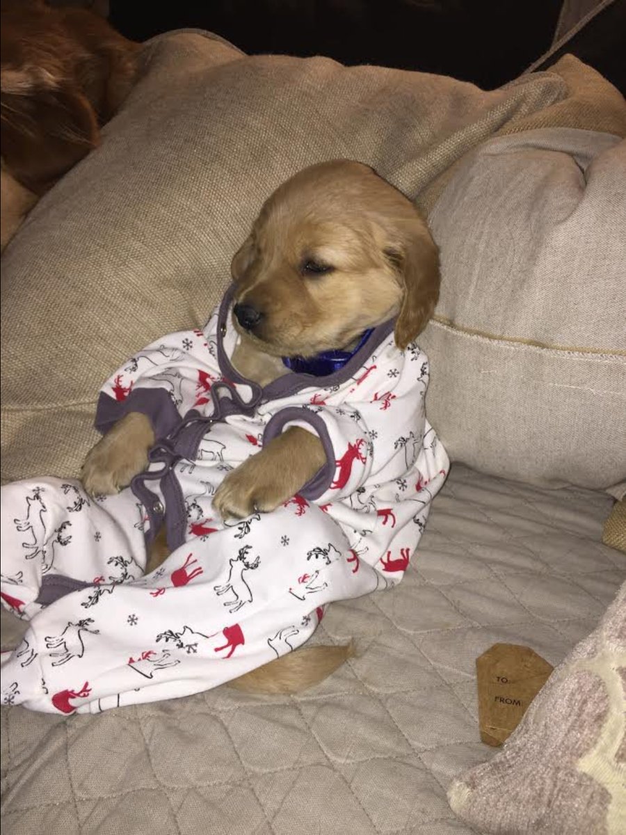atrahre's tweet photo. - Tendrías un hijo ?
- Si https://t.co/0GJQswmnyT