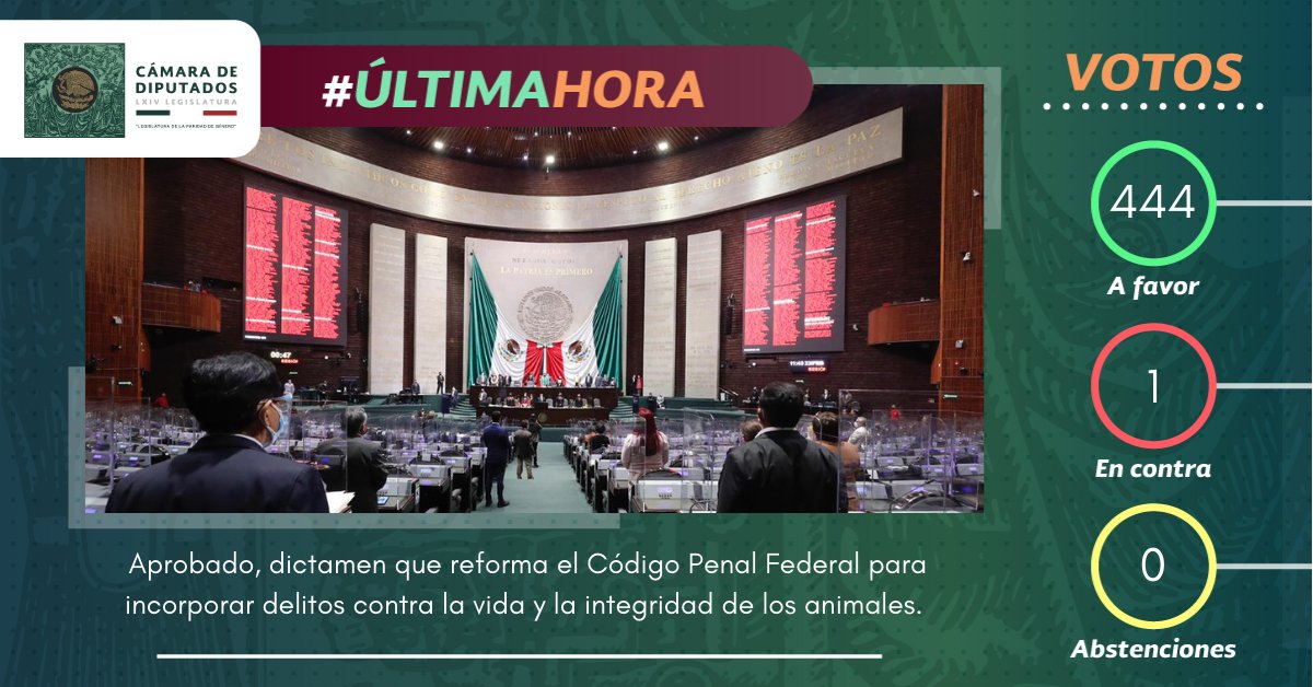 H. Cámara de Diputados tweet media