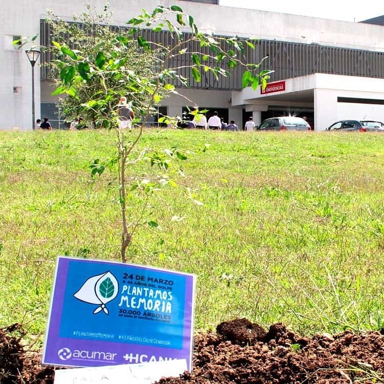 Plantamos Memoria
En el HCANK 
nos sumamos a la convocatoria de los organismos de Derechos Humanos, plantando especies autóctonas en los jardines del establecimiento.
Actividad conjunta con la dirección Salud y Educación Ambiental de ACUMAR.
#45AnosDelGolpeGenocida