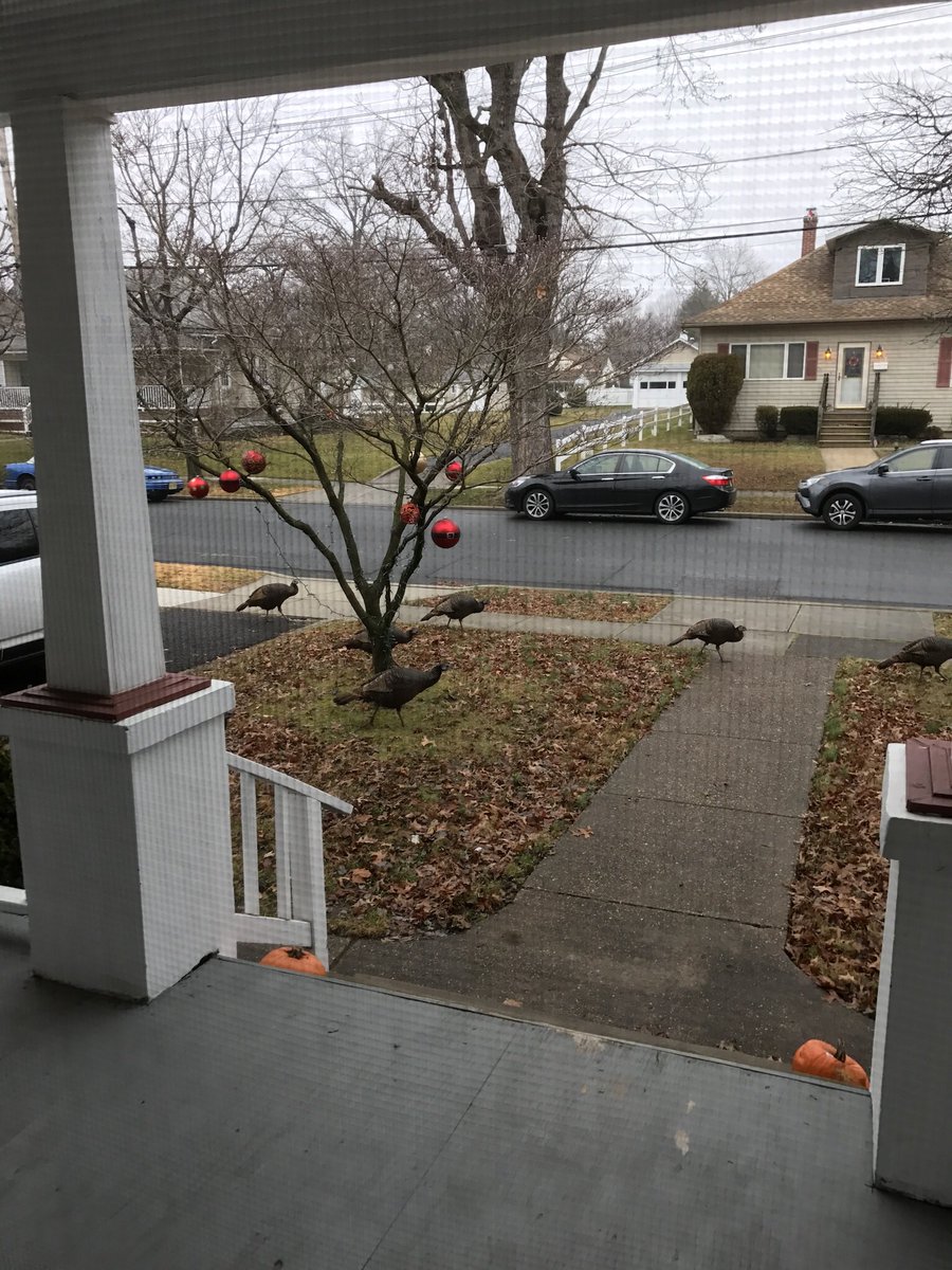 LauberCoach's tweet photo. @DBReader2016 @HaddonfieldHS @HaddonSchools They used to attack me on the way to my car in Audubon. https://t.co/a5Id4meVEN