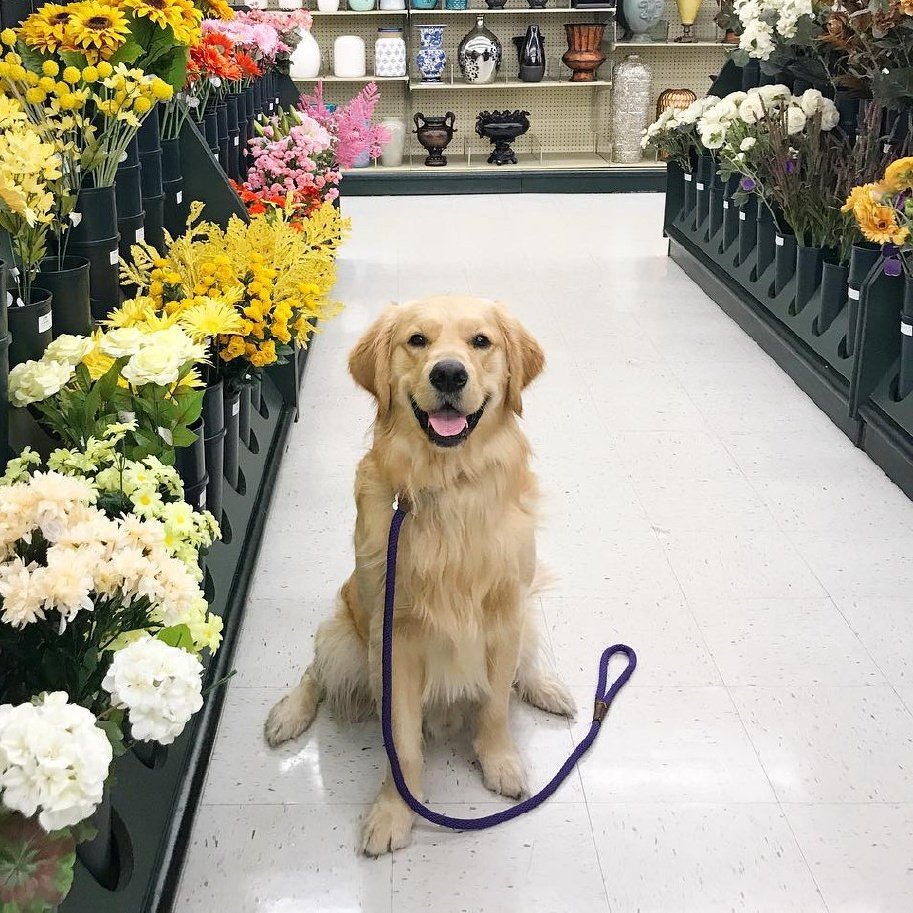 pseonghwaa_'s tweet photo. ㅤㅤㅤㅤㅤ 🐶 ١ 𝗆𝗒 𝖻𝗲𝘀𝗍 𝖿𝗋𝗂𝖾𝗇𝖽
ㅤㅤㅤㅤㅤㅤ𝗮𝗹𝘄𝗮𝘆𝘀 𝖻𝗒 𝗆𝗒 𝗌𝗶𝗱𝖾.
ㅤㅤㅤㅤㅤㅤ #FEVER_DAY https://t.co/g0QZomzeN8