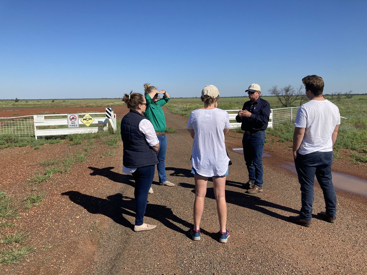 A quick rangelands agronomy lesson on the way to Charleville today from <a href="/GusWhyte/">Angus Whyte</a>, who patiently fielded all my naive pastoral questions 😂
