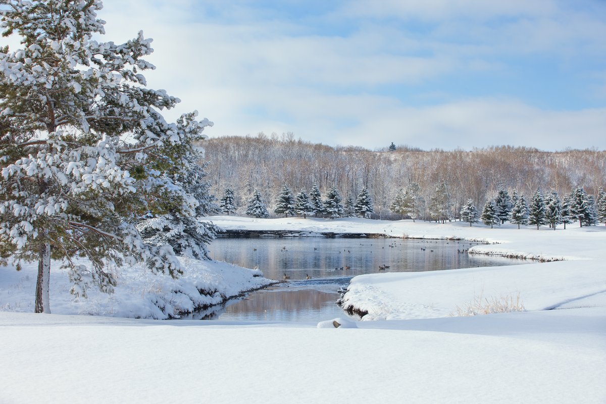 Paul Birnie tweet media