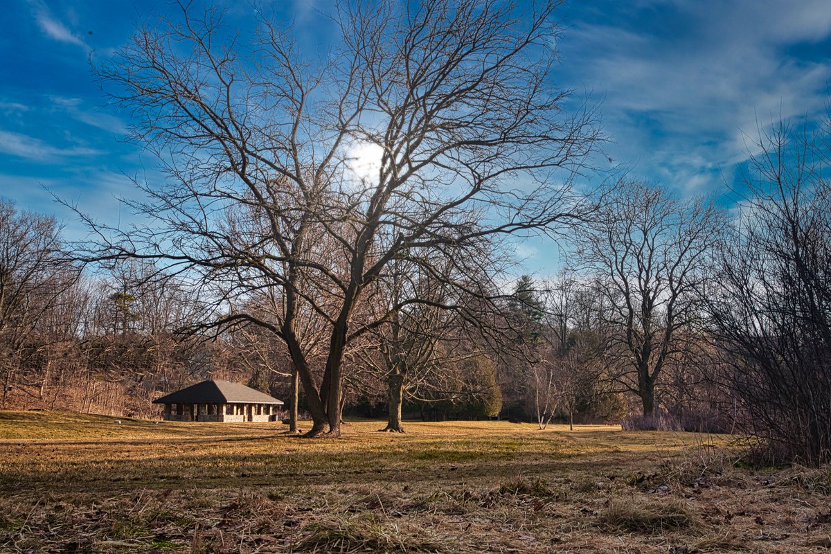 REasson09's tweet photo. Spring Colors starting to shine through!
#landscapephotography #landscape #OntarioSpring #Hamilton #SpringIsComing #DiscoverOnt #Ontario #nature #NaturePhotography #supportlocal #canada #CanadaOnly #canon #HamOnt #outdoors https://t.co/ElexcA3ZK8