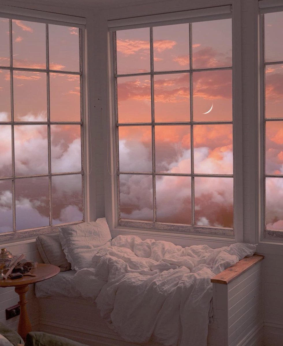_NaughtyStories's tweet photo. mentally im here https://t.co/nm0FmxZjBK