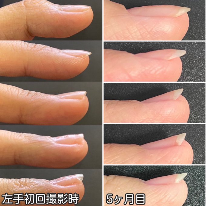 反り爪のtwitterイラスト検索結果 反り爪のtwitterイラスト検索結果