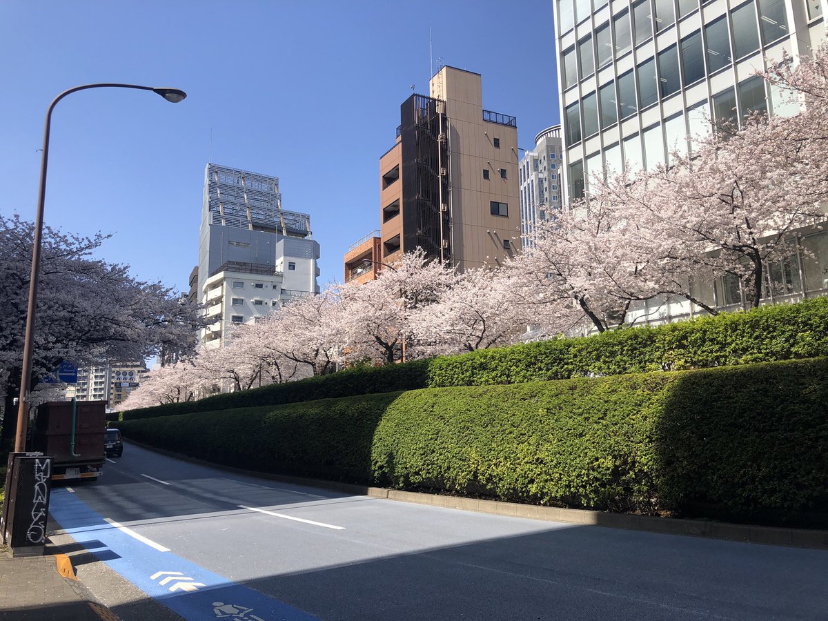 Kayasumi Kayasumi2 Twitter