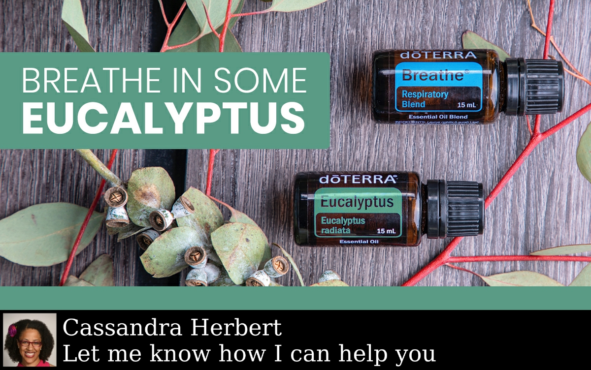 You have until 11:59 p.m. MT to get Eucalyptus for FREE when you buy Breathe!