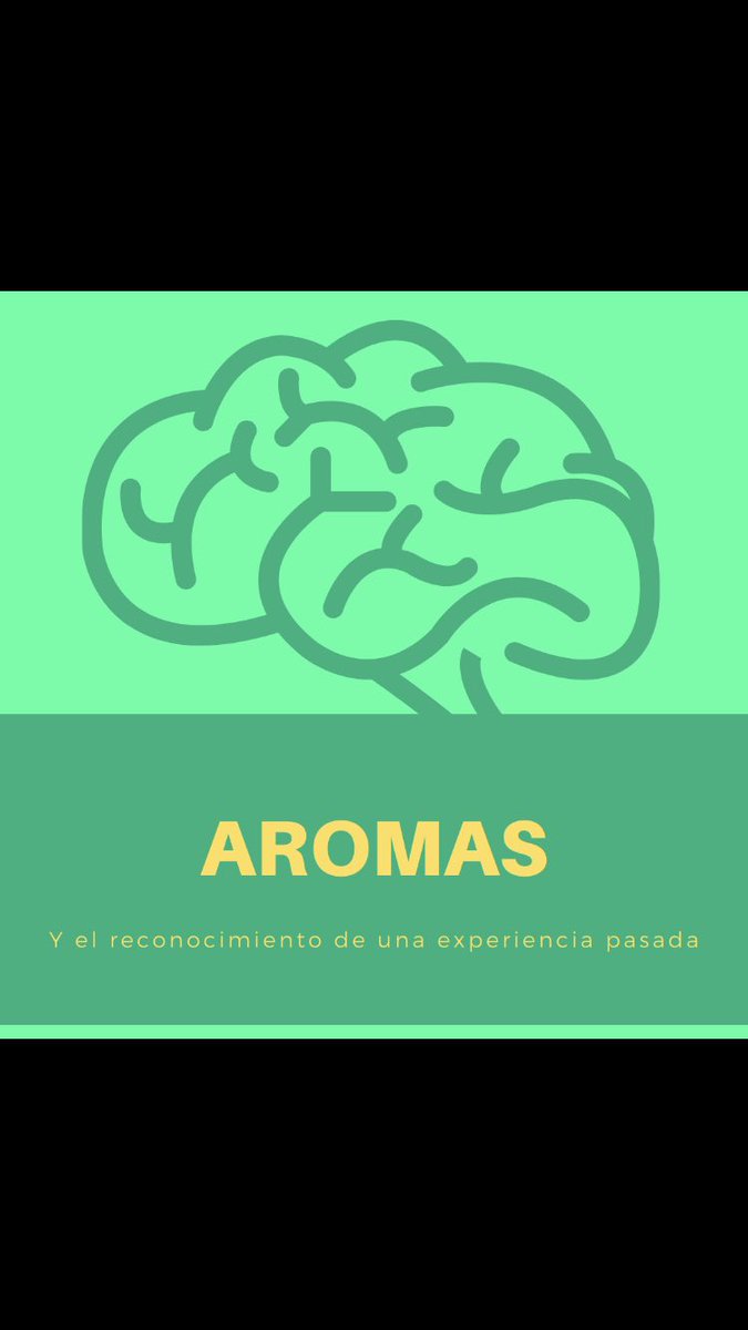 VitalMemory's tweet image. vitalmemory.blogspot.com/2021/03/aromas…