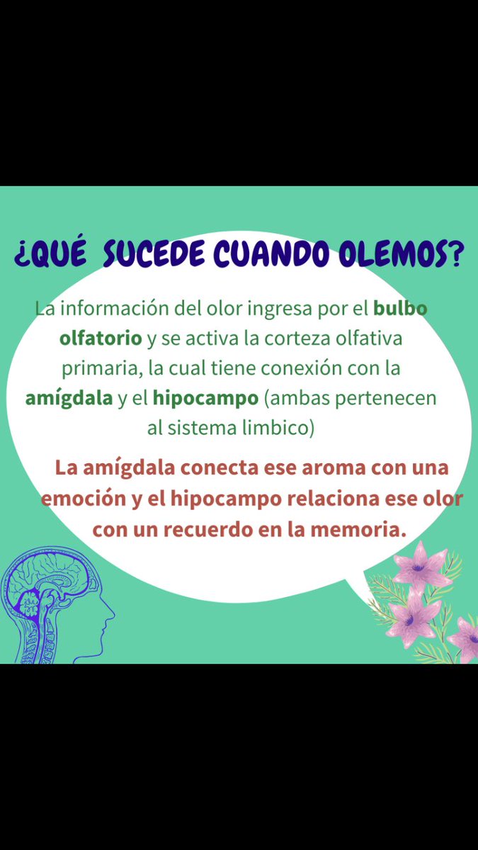 VitalMemory's tweet image. vitalmemory.blogspot.com/2021/03/aromas…