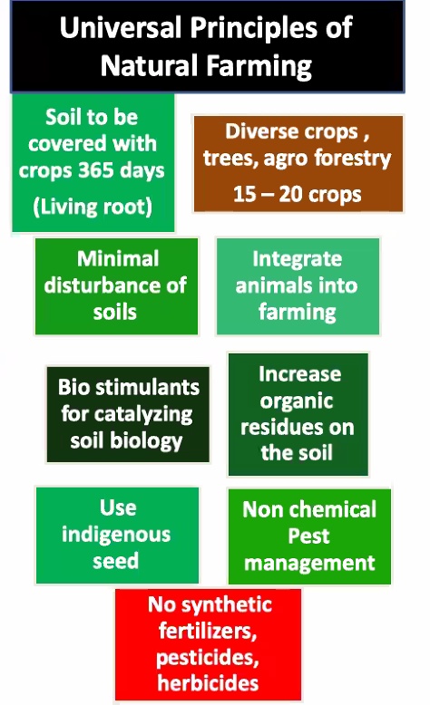 akhilnalajala's tweet image. #Universalprinciples of Natural Farming. Interaction with #Farmers  #SHGs
