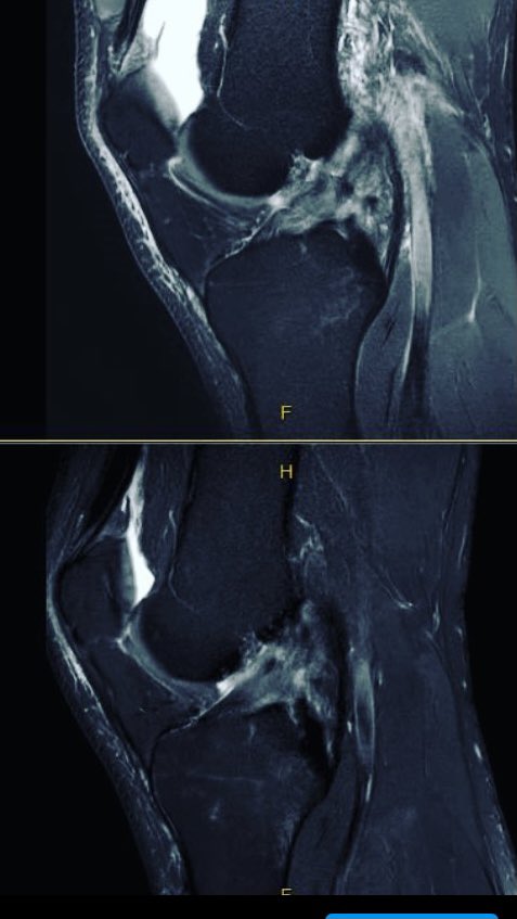 Steven Duhig tweet media